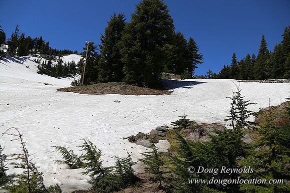 Medow's Snow-5739