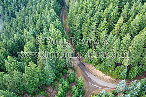 Road in Forest from Above