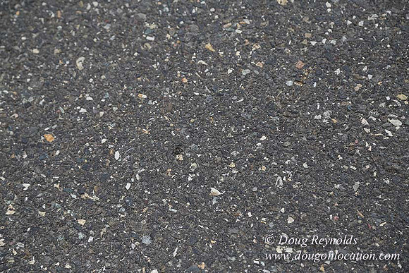 BKP Prod 1of3 Canyon rd-9090
