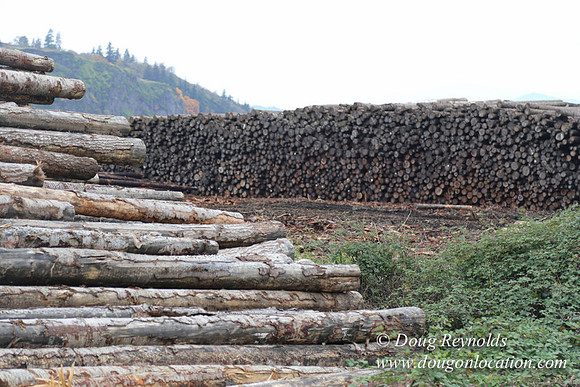 SDS Lumber-1439