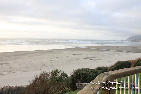 33 Beach CB5-1498