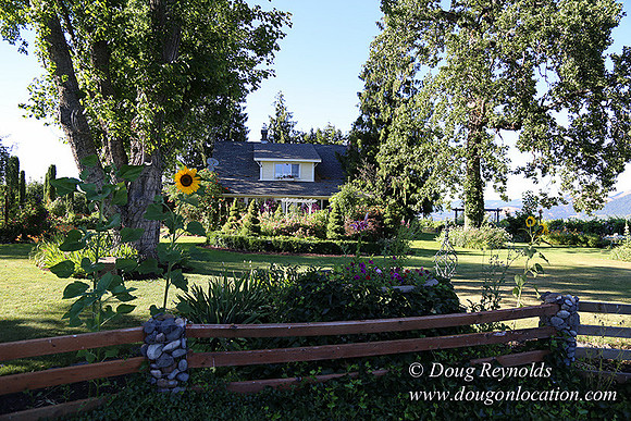 Patricks Farm Well maintained property, Lots of flowers Old Barn Farm House fruit trees Berries, Goats, Chicken’s, Turkey,