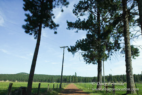 2500 Acres of green fields Creeks water crossing Bridges on a Large Lake and miles of Dirt roads Oak trees Forest land ATV Trails cows
