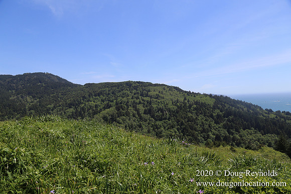 Ranch 26