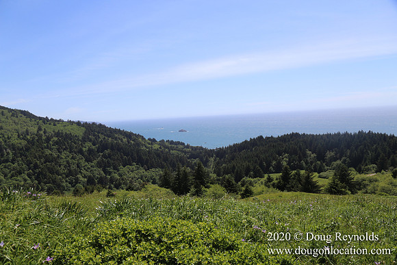 Ranch 26
