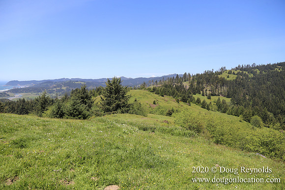 Ranch 26