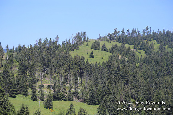 Ranch 26