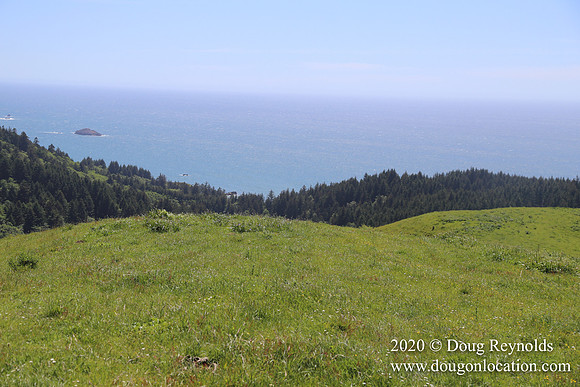 Ranch 26