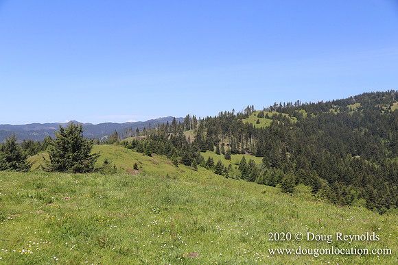 Ranch 26