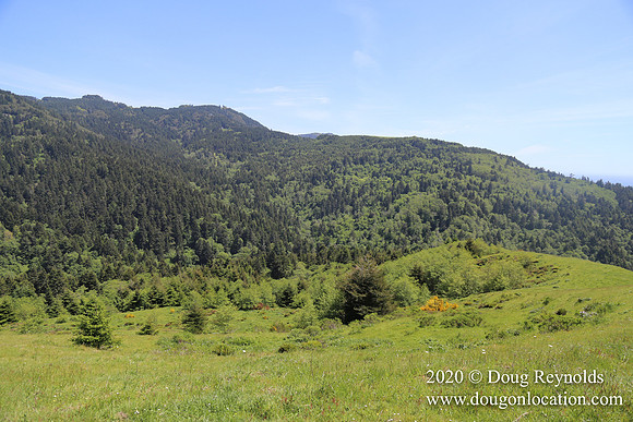 Ranch 26