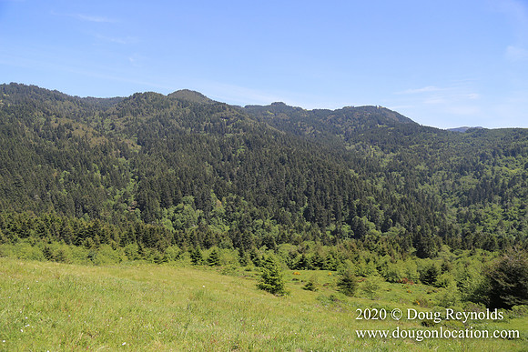 Ranch 26