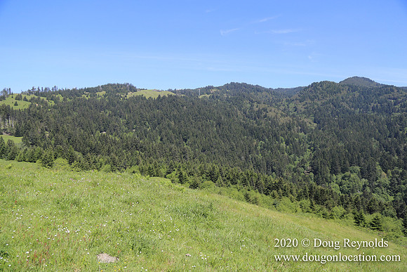 Ranch 26