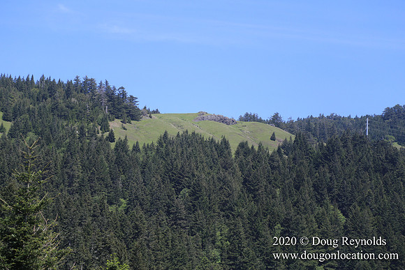 Ranch 26