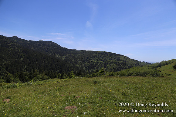 Ranch 26