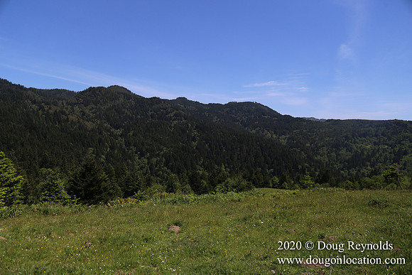 Ranch 26