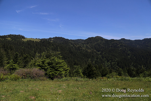 Ranch 26