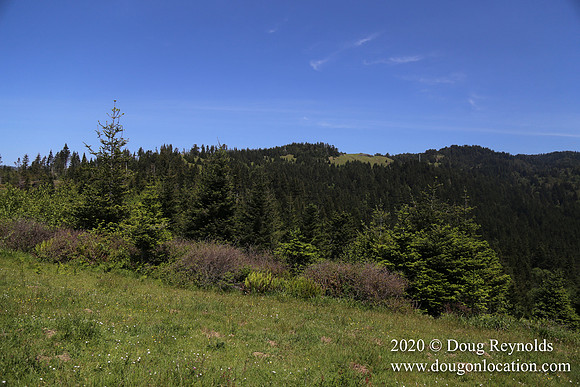 Ranch 26