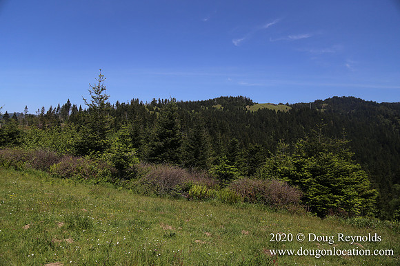 Ranch 26
