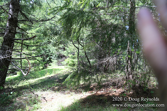 Ranch 26