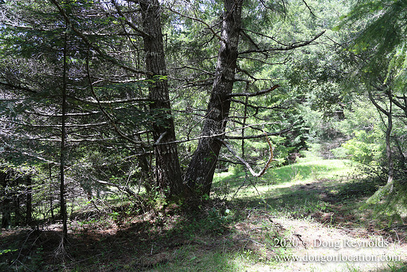 Ranch 26