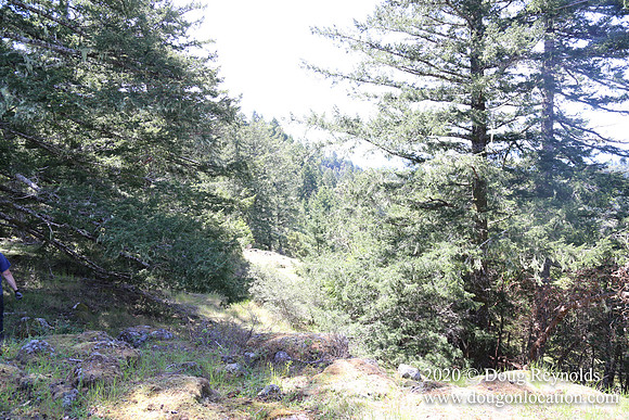 Ranch 26