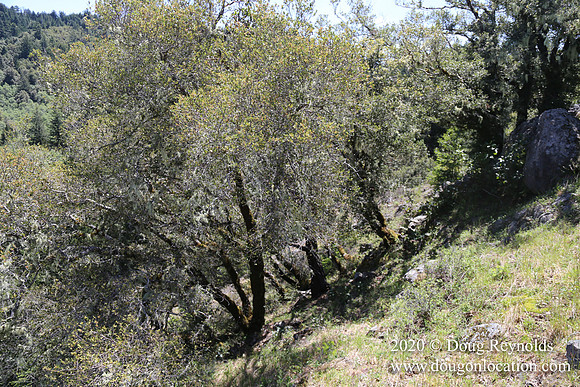 Ranch 26
