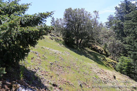 Ranch 26