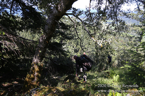 Ranch 26