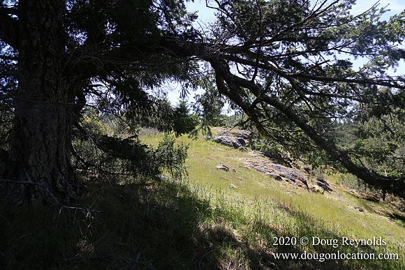 Ranch 26