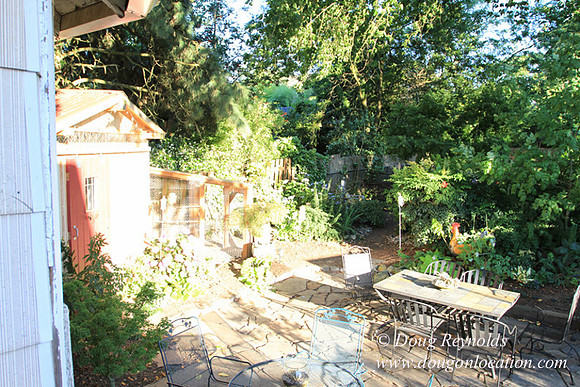 Home" Bungalow, Bee's Back yard Chickens, Small,