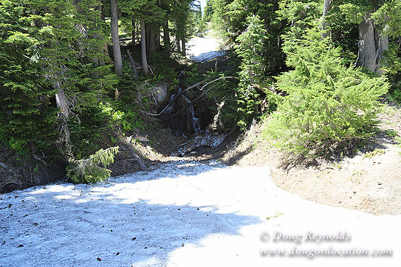 Medow's Snow-5645