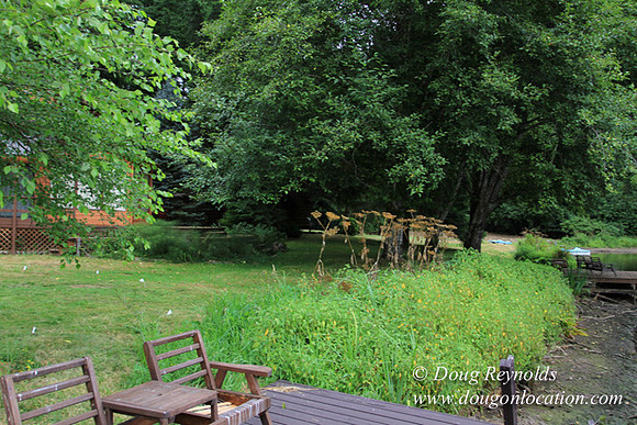 Cabin, Dock, Green, Home, House, Lake, ORBoat, Oregon, "Sky's Lake House", Yard, deck
