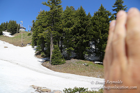 Medow's Snow-5691
