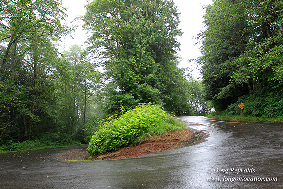 Brower Rd