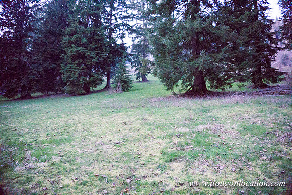 Adams Farm-3119
