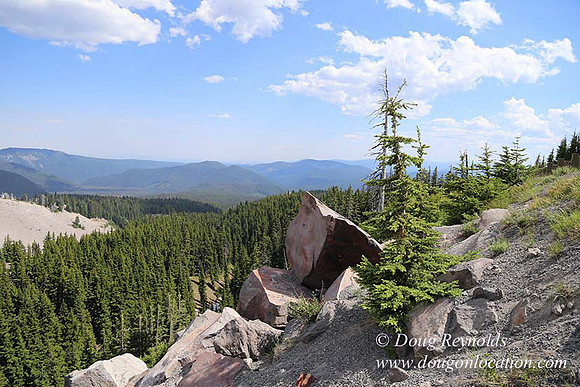 Timberline East rock-6812