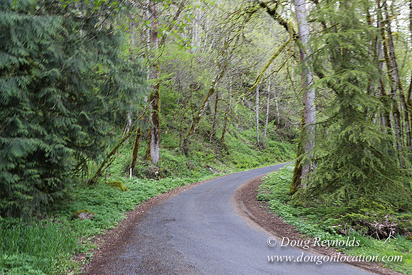 Brians Upper Drive-0289