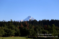 Neil Creek Horses-8551