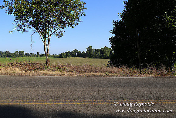 Moores Rd 2-7072