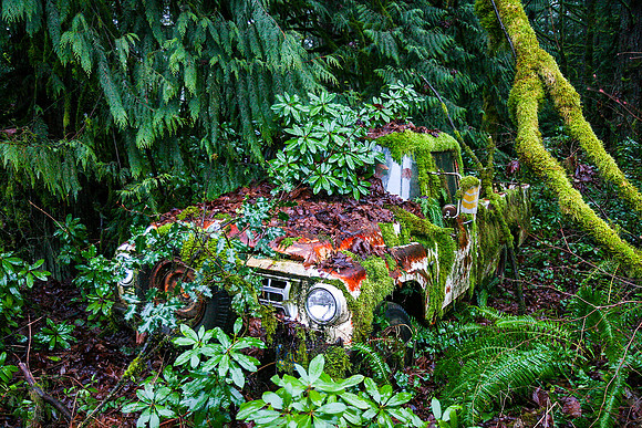 Old Moss Covered Truck