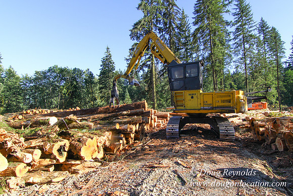Craig Logging-3172