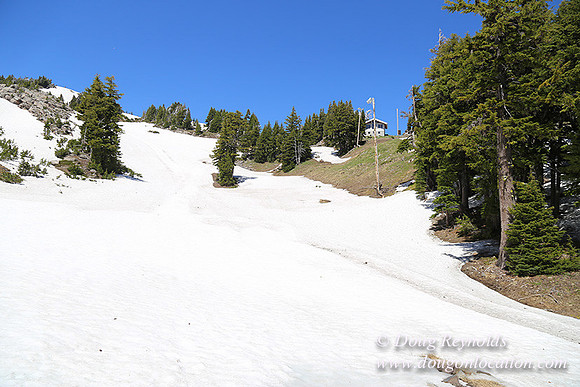 Medow's Snow-5689