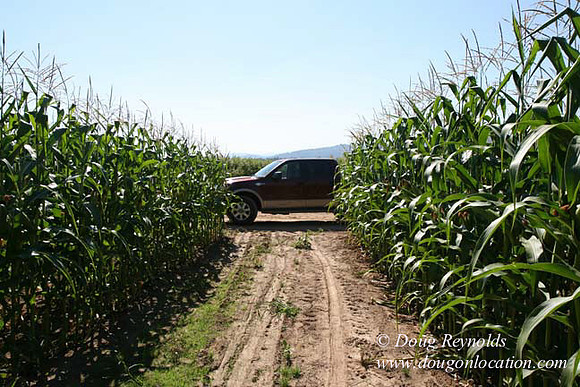 Farm 4 has Barns Shops they grow Wheat and Corn.  in the Portland Zone