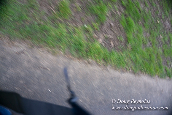 Sellwood Park-2345