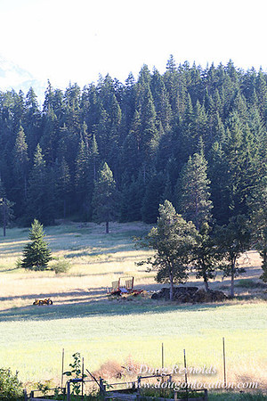 Elk Haven Ranch-8586