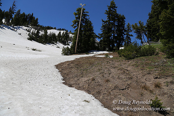 Medow's Snow-5731