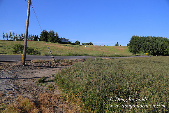 Moores Rd 1-7018
