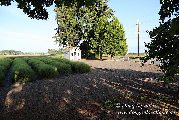 Toms Rd Side-6388