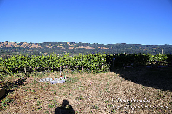 Patricks Farm Well maintained property, Lots of flowers Old Barn Farm House fruit trees Berries, Goats, Chicken’s, Turkey,