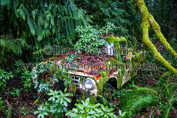Old Moss Covered Truck